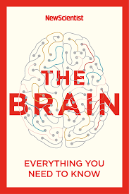 The Brain: A user's Guide to the Supercomputer Inside Your Head