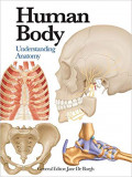 Human Body: understanding anatomy