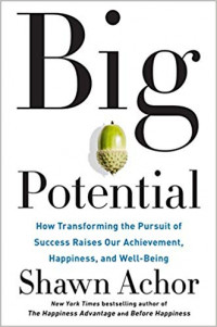 Big Potential: how transforming the pursuit of succes raises our achievement, happiness and well-being