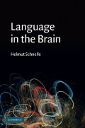 Language in the Brain