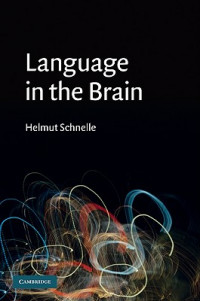 Language in the Brain