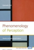 Phenomenology of Perception : Theories and Experimental Evidence