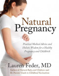 Natural Pregnancy : Practical Medical Advice and Holistic Wisdom for a Healthy Pregnancy and Childbirth